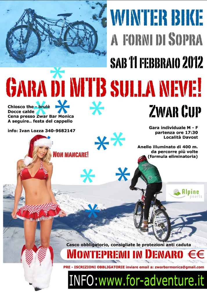 WINTER BIKE 2012 - Locandina