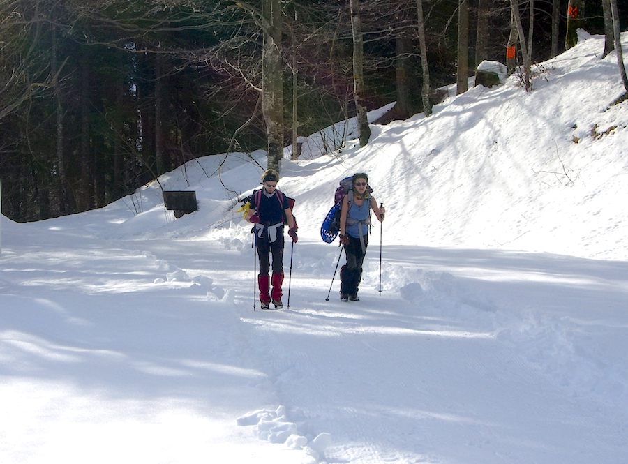 CIASPOLE MALGHE TARTOI TRAGONIA forni di sopra