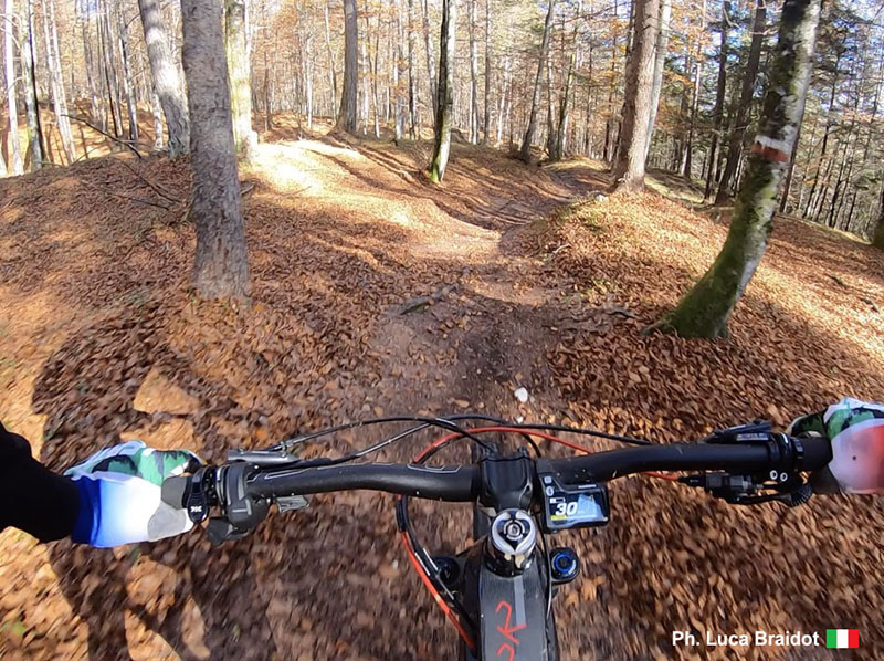 Luca braidot gravity bike forni di sopra dolomiti