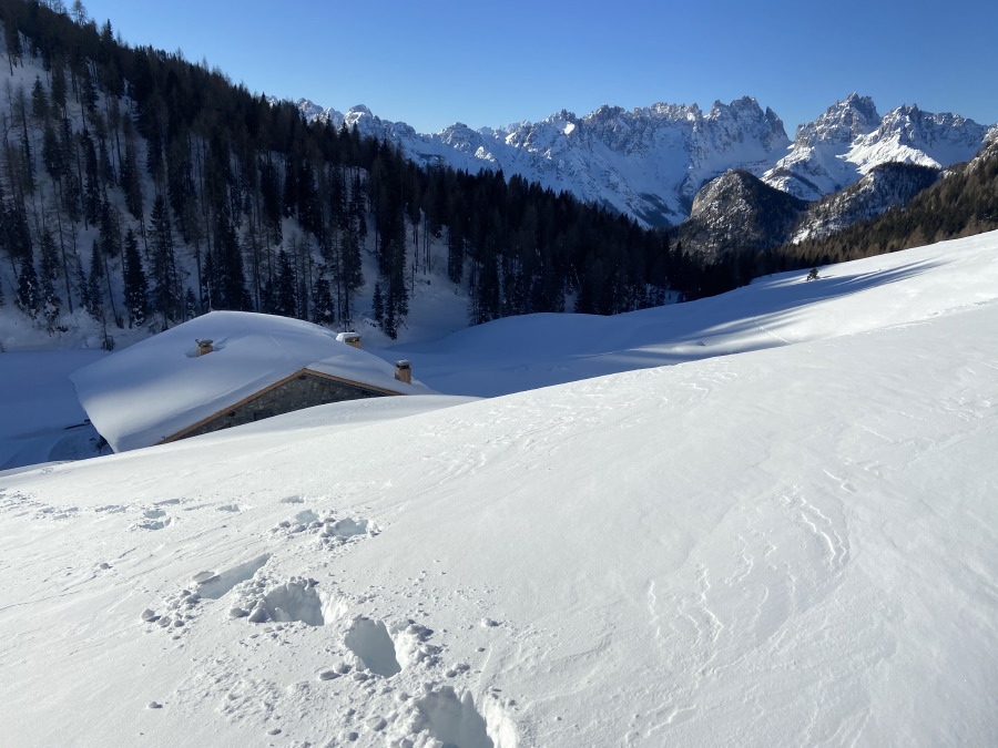 MALGA TRAGONIA SCIALPINISMO FORNI DI SOPRA DOLOMITI