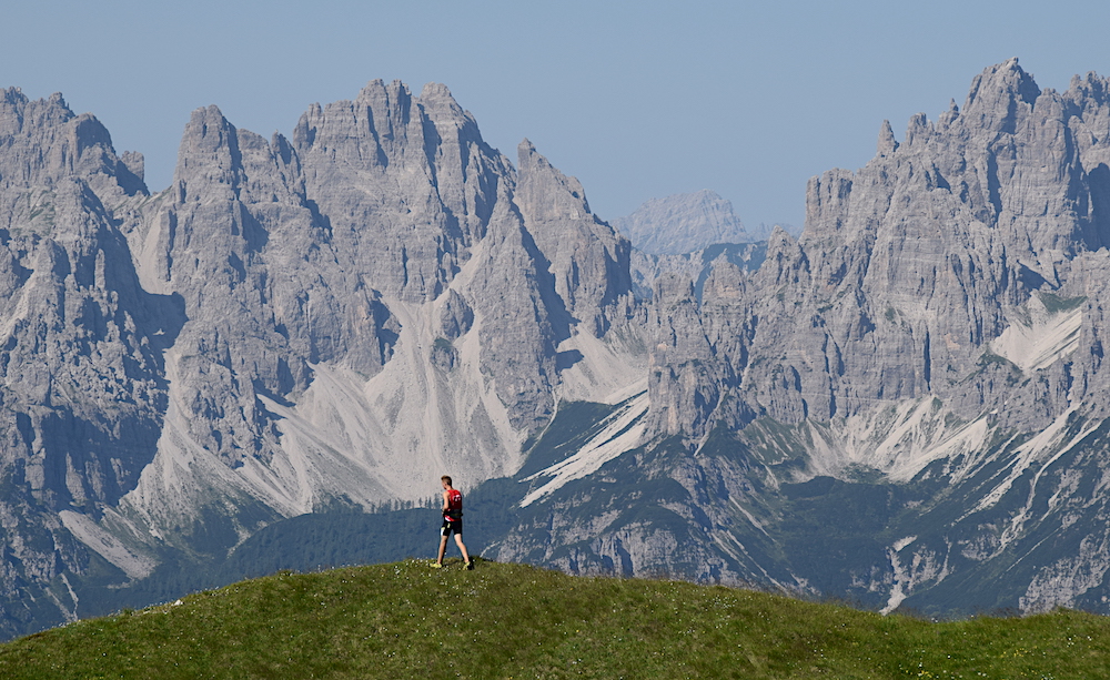 TRAGONIA PUNTIOI LUCA FIORI STELLE ALPINE MUDAS AIP 2015 229