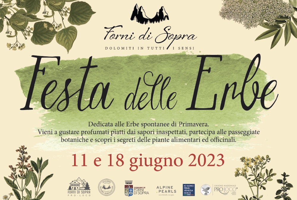 banner festa delle erbe