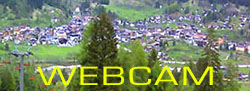 webcam forni di sopra