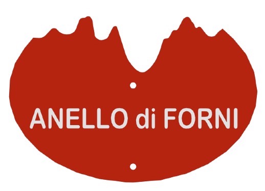 logo anello di forni