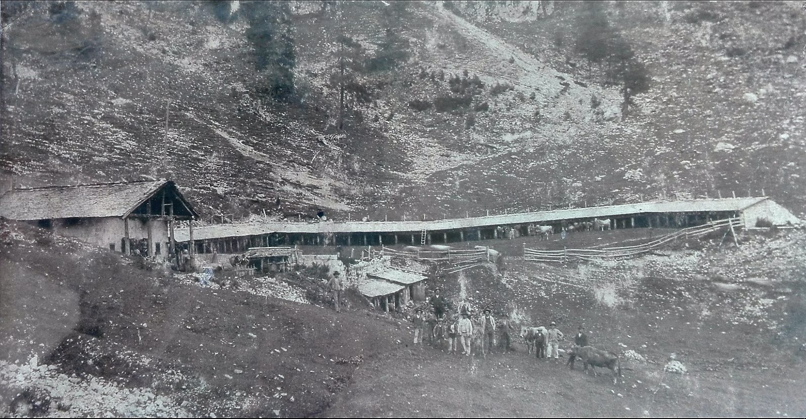 malga tartoi inizi 1900