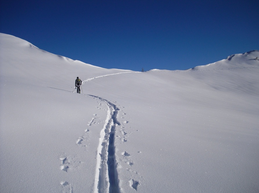 Scialpinismo verso  Risumiela , Tragonia - Forni di Sopra