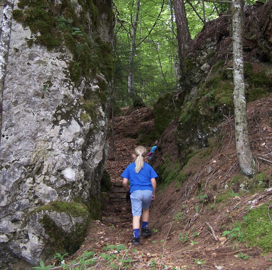 truoi dal von forni di sopra